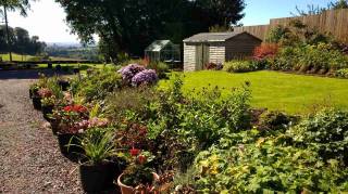 Top Lawn and Back Border