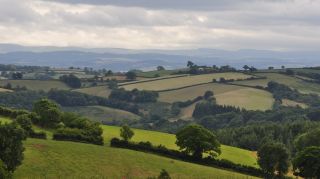 Mid Devon Countryside