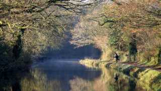 Grand Western Canal in the Autumn
